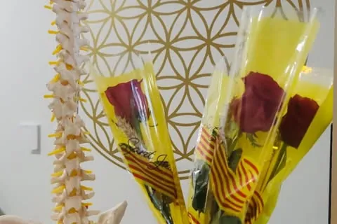 Cada detall compta · La columna i les roses de Sant Jordi